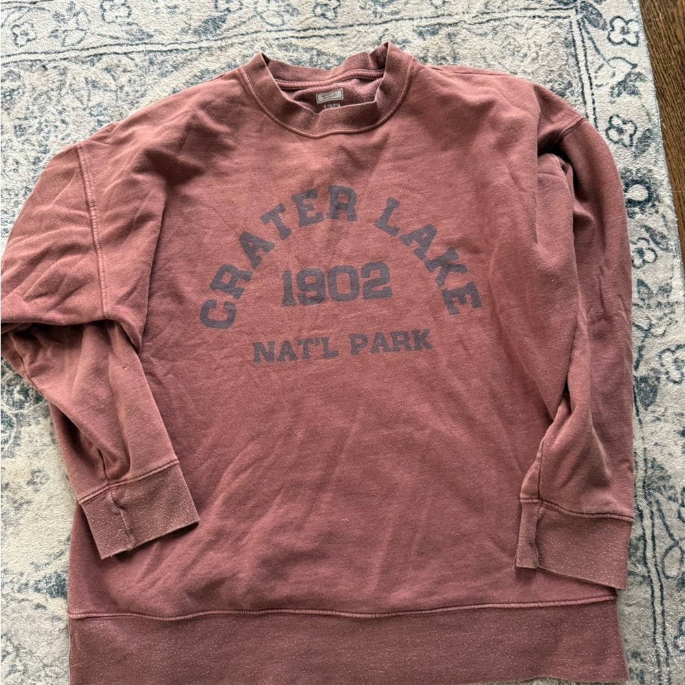 American Eagle Outfitters Brown/Rust Graphic Sweatshirt